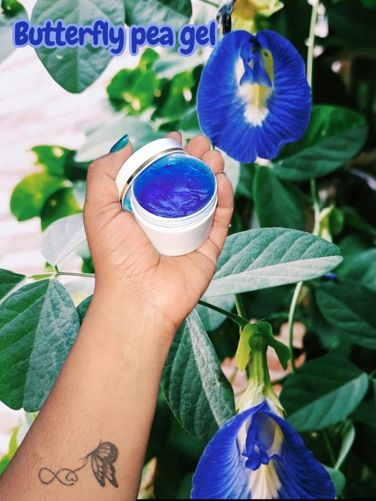 Butterfly Pea Gel